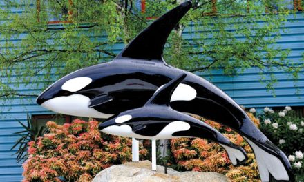 Orcas return to engineers