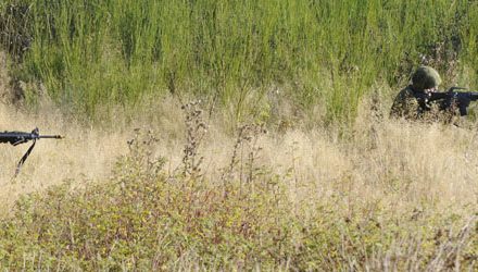 Leadership in training