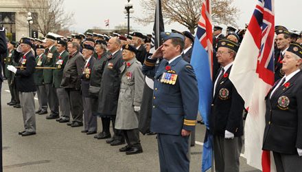 Remembrance day salutes