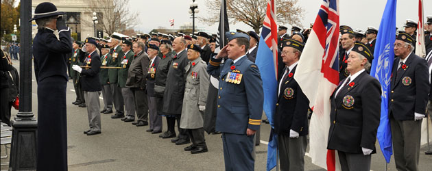 Remembrance day salutes