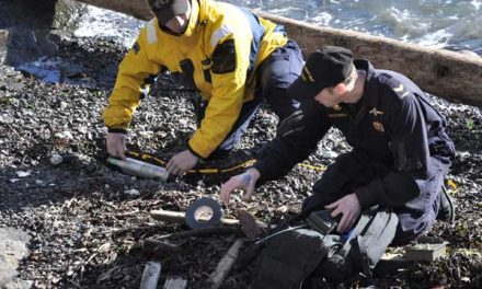 Divers clear washed up ordnance from beach