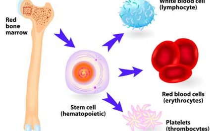 Stem cells needed, donate next Tuesday