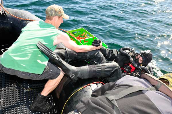 In-depth training for clearance divers