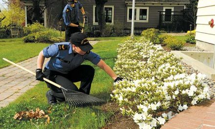 Sailors pitch-in during port visit