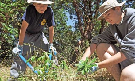 Air cadets wage war against invasive species