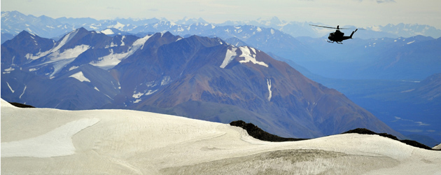 Flying high in the north