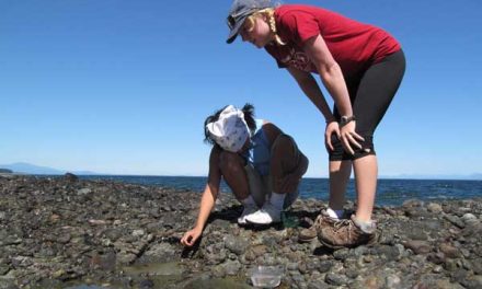 Camp Hornby a life-changing experience