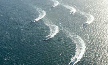 Orcas gather to demonstrate manoeuvres