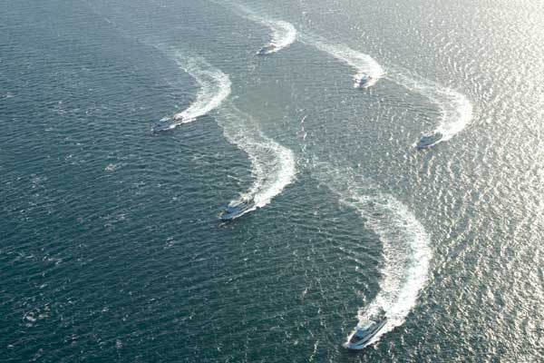 Orcas gather to demonstrate manoeuvres