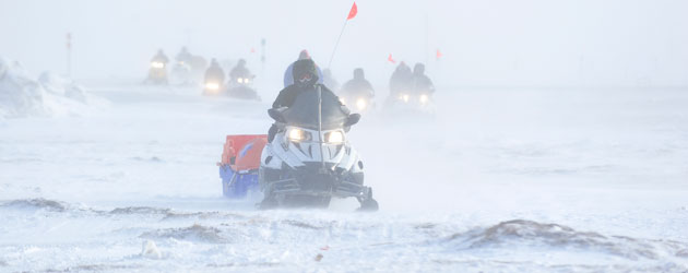 Sled platoon on the move