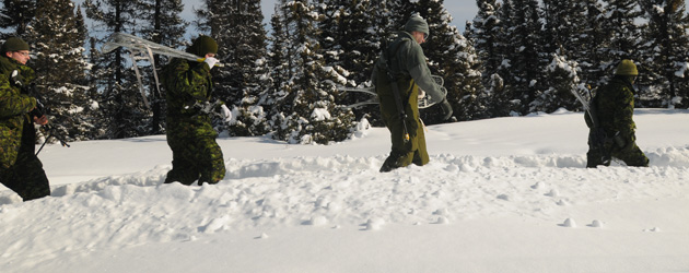 Surviving the winter cold