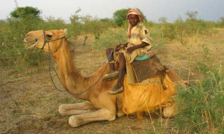 African children grace new photo book