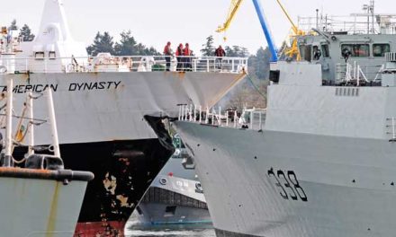 Safety board releases report on American Dynasty allision with HMCS Winnipeg