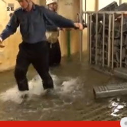 Damage Control School