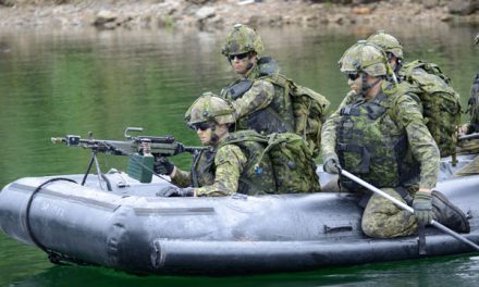 Exercise Kootenay Cougar