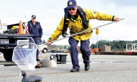 Base employees practice oiled animal rescue