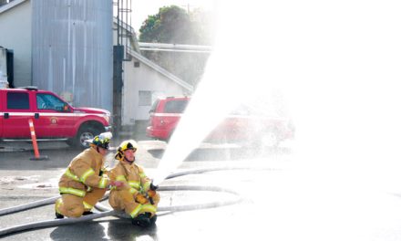 Fireboat demonstrates a unique capability