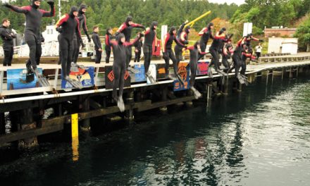 Divers take Grizzlies for a swim