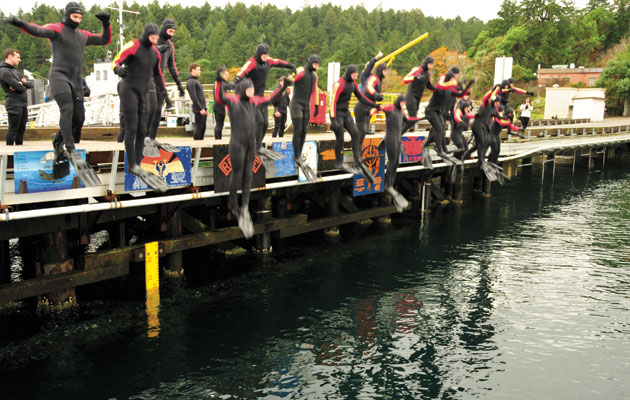 Divers take Grizzlies for a swim