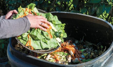 Base now collecting organic waste