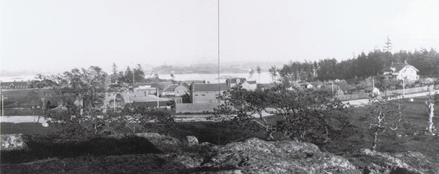 Work Point Flash Back