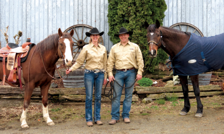 Veteran treks across Canada on horseback to raise awareness
