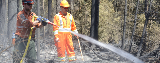 Putting out forest fires