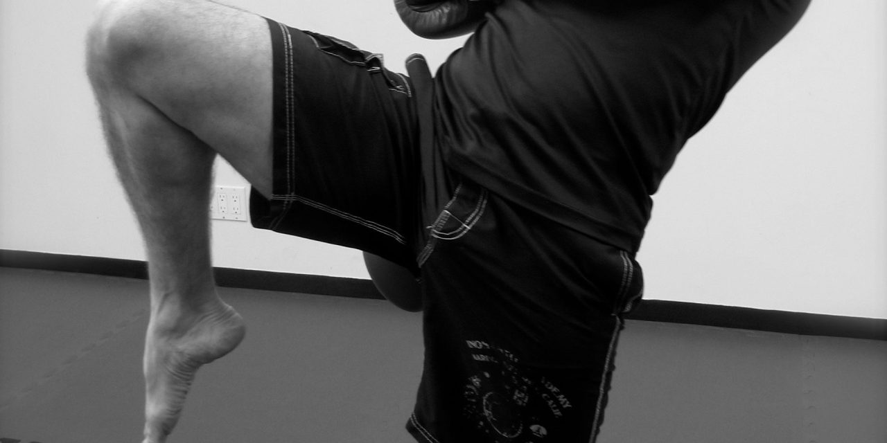 Reservist shares path to enlightenment through martial arts