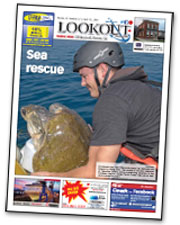 Volume 61, Issue 15, April 11, 2016