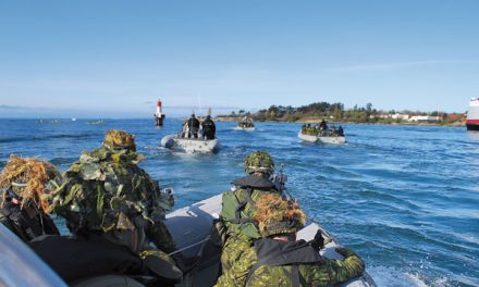 Scottish Starburst by the Sea: Army and Navy join forces for training exercise