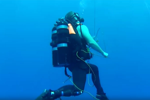 Defence Team News, July 15, 2016