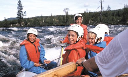 Summer safety guidance