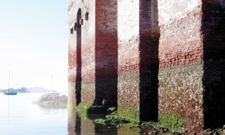 Pair of Cole Island buildings slated for renovation