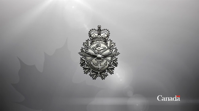 Court martial system consultation, have your voice heard during review