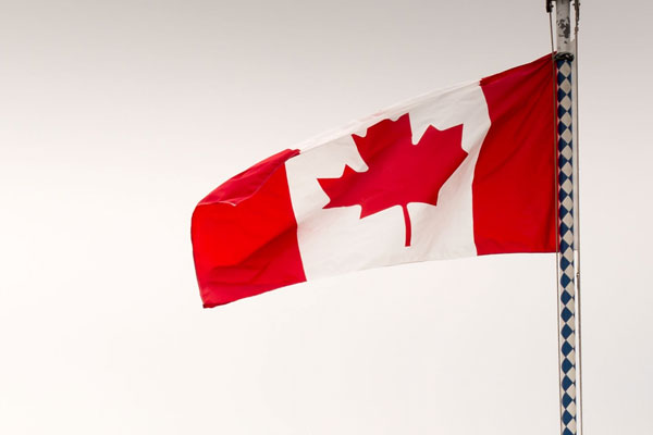 Changes to veterans income support benefits