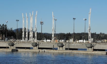 Installation of breakwater begins in Esquimalt Harbour
