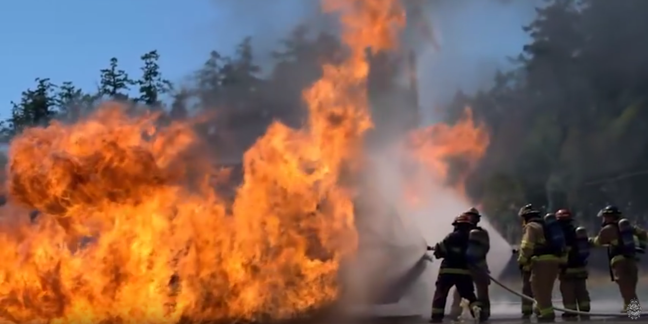 Defence Team News: On The Job