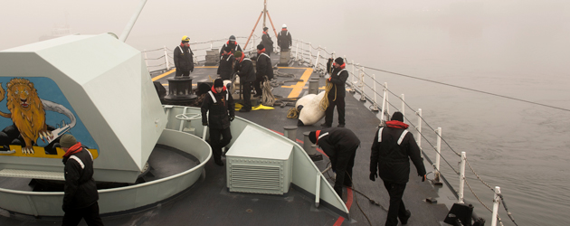 Operation REASSURANCE