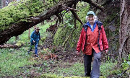 Mary Hill invaded by Bioblitz team