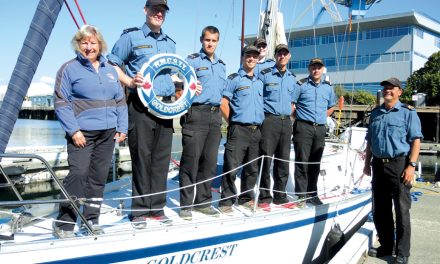 Goldcrest puts the wind in sailors’ sails