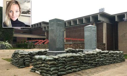 Uncommon art creates buzz at war memorial