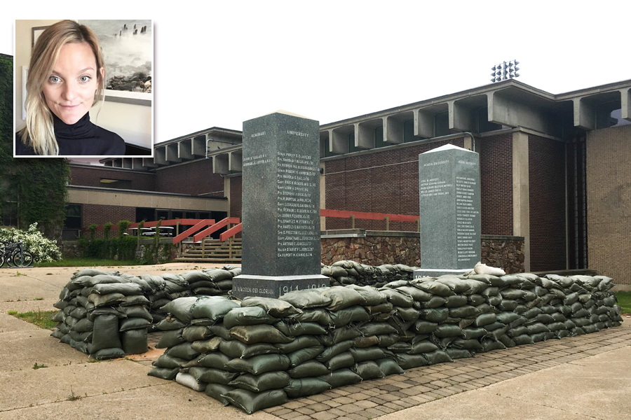 Uncommon art creates buzz at war memorial