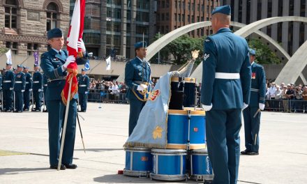 Air Force receives new Colours