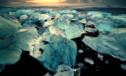 Going deep: photographers honoured for their work