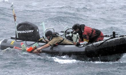 Nanaimo rescues sea turtles