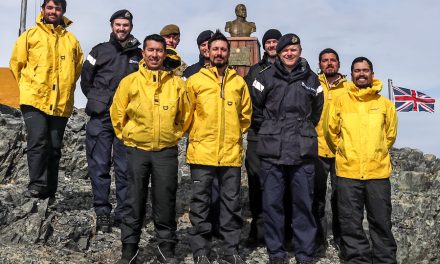 Nothing regular about the Regulus program