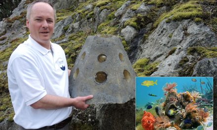 At-sea burials going green