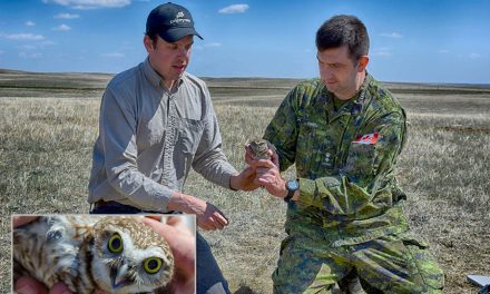 Soldiers and scientists join forces to help recover an endangered species