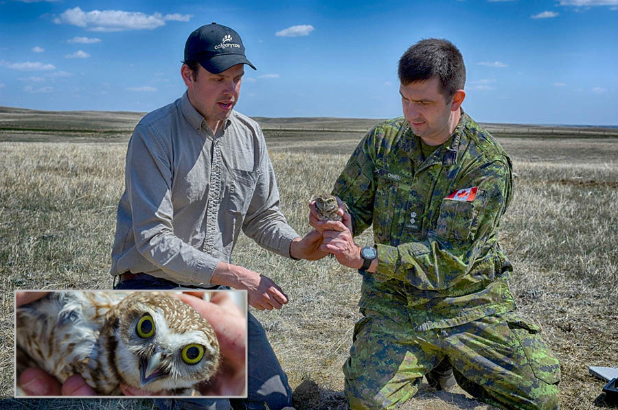 Soldiers and scientists join forces to help recover an endangered species