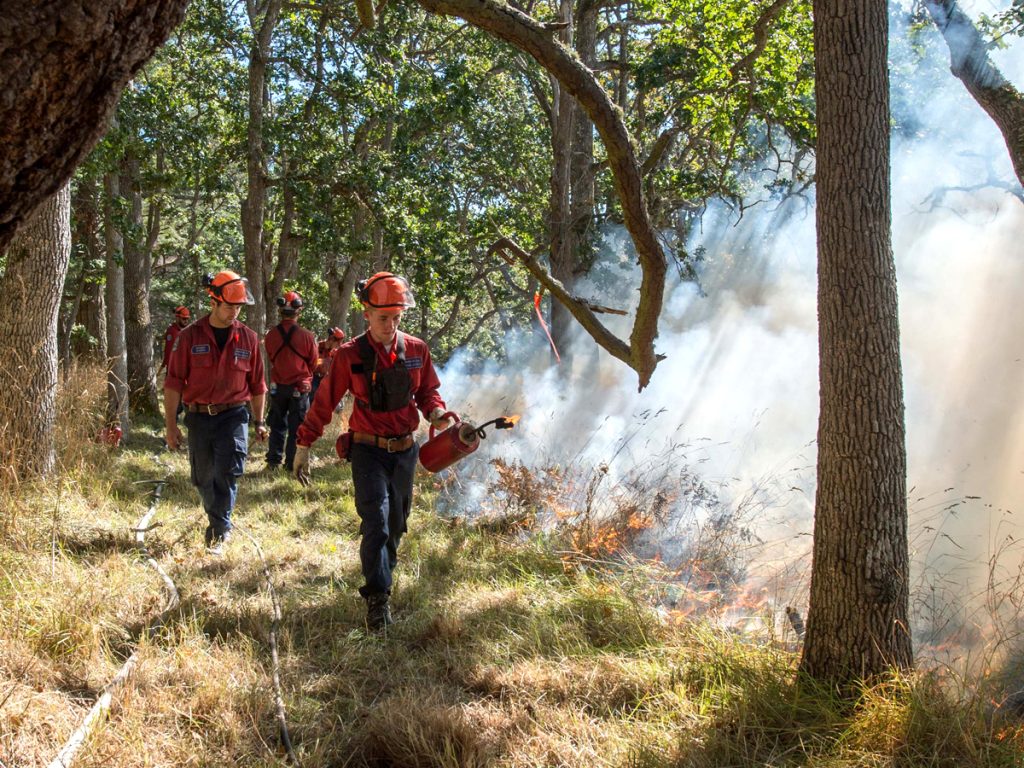 Formation Safety and Environment conduct a controlled burn with BC Fire Services and Esquimalt Fire Department at Rocky Point. Photos by LS Valerie LeClair